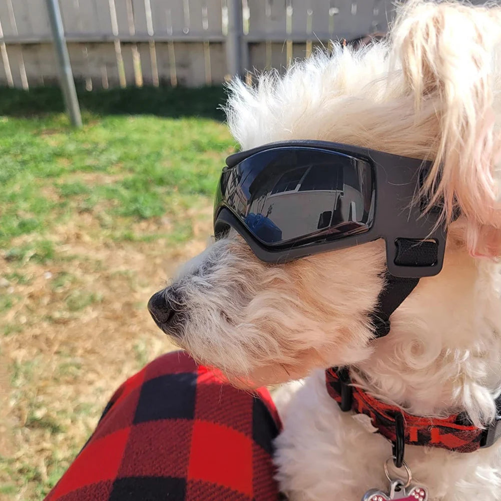 Dog UV Protection Sunglasses Goggles for Small Medium Breed Puppy